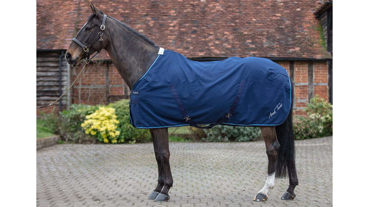 Mark Todd Pro stable show rug for horses