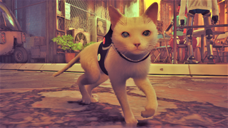 weiße Katze mit Rucksack, die spielerisch zur Kamera trottet (Stray, Sony)