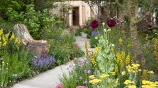 A wide shot of the flowers and paths of the Avanade Intelligent Garden at Chelsea Flower Show