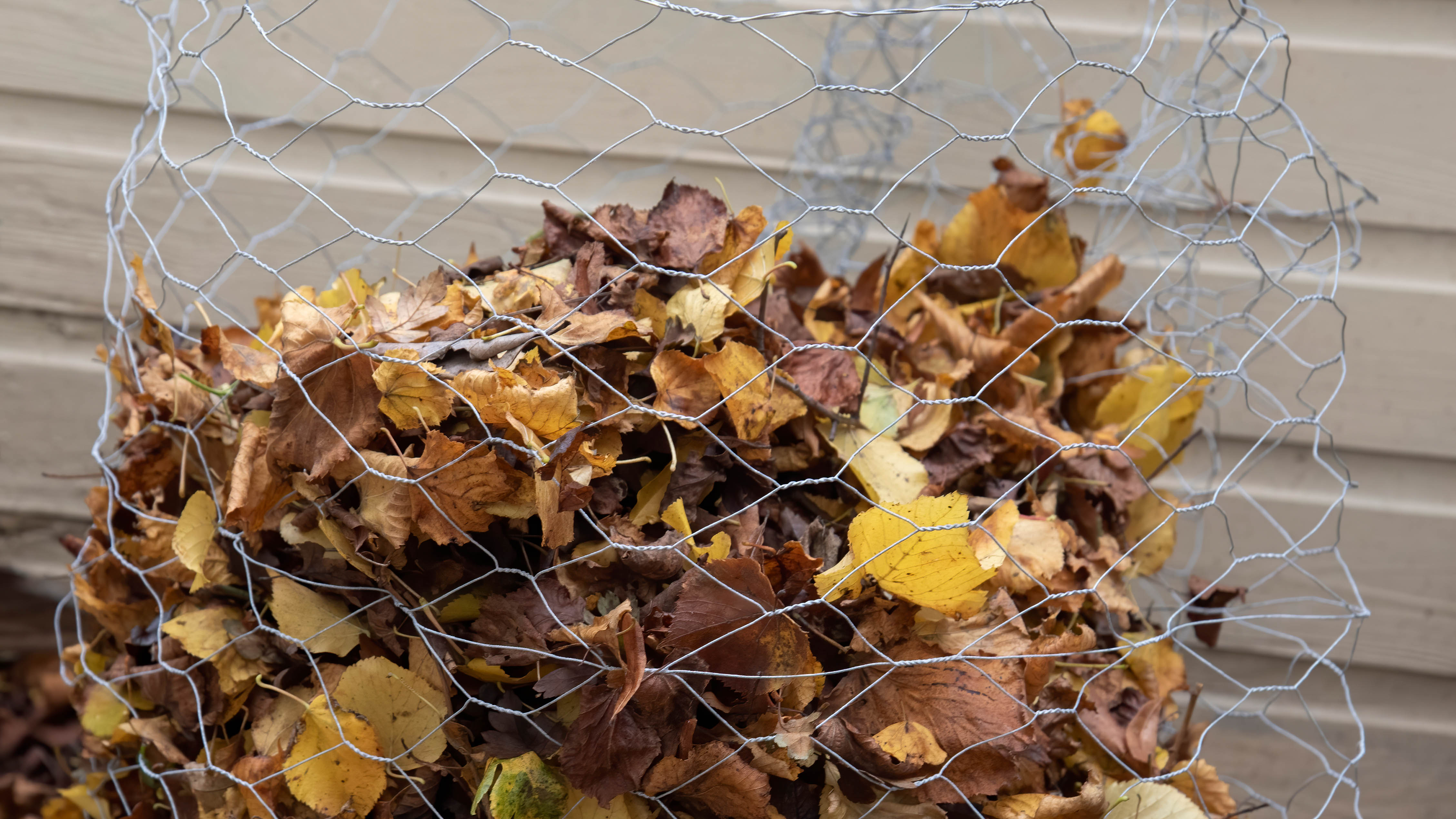 Leaves stored in wire basket