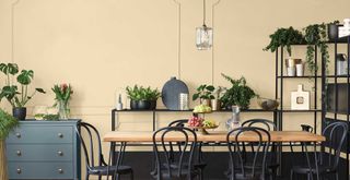 Neutral yellow kitchen with black cabinets showing colour of the year to support Interior paint colour trends 2024