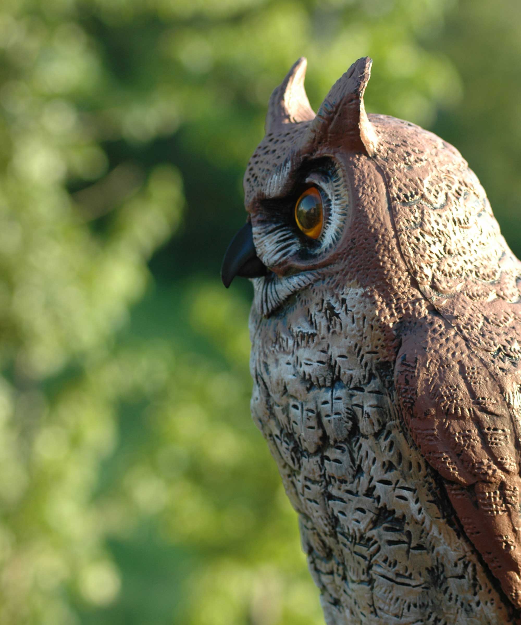 owl decoy