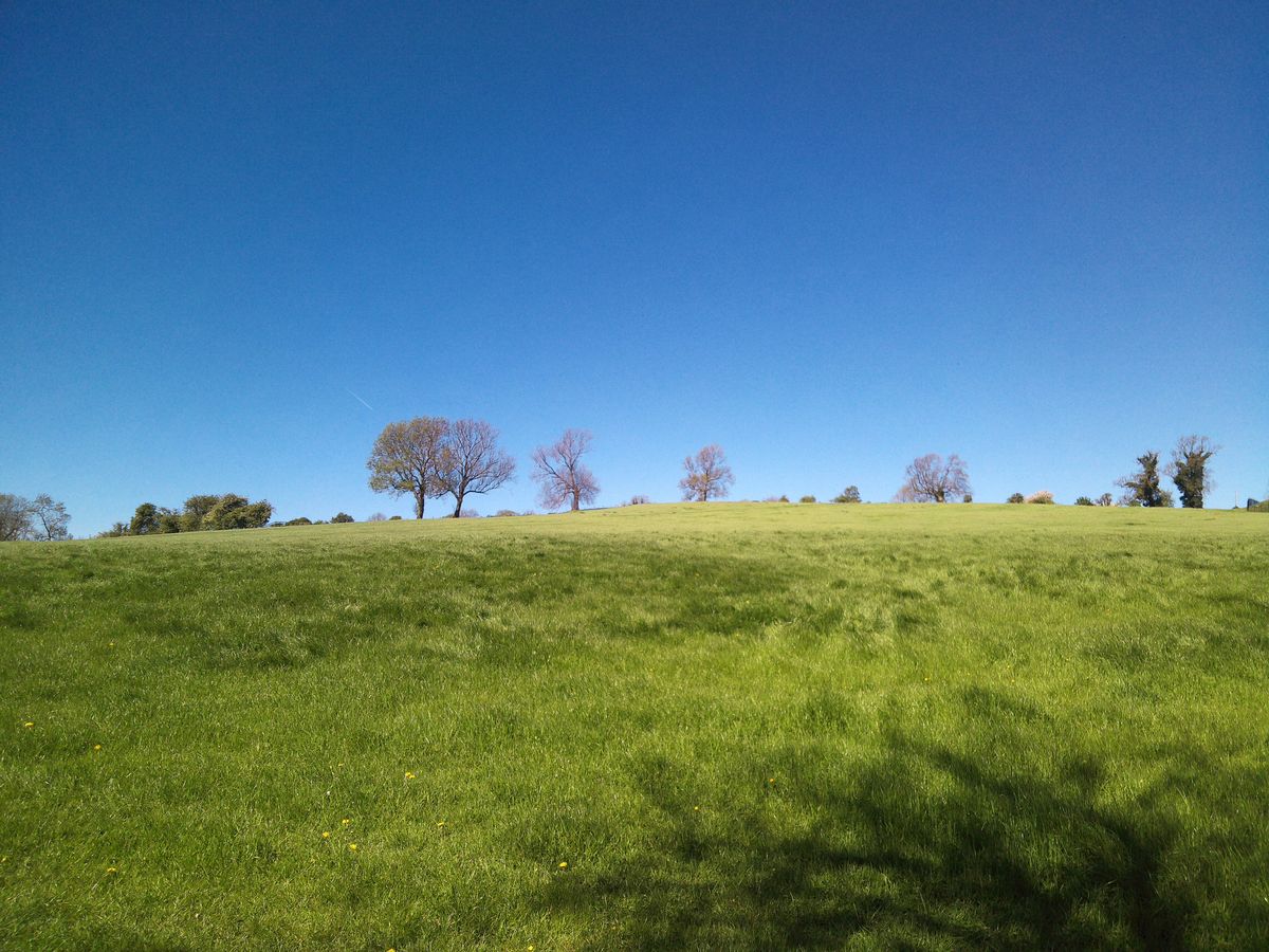 Sample image from Camp Snap CS-Pro digital compact camera showing green field with trees in distance