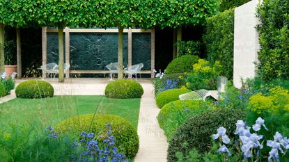 modern garden with lawn and boxwood planting