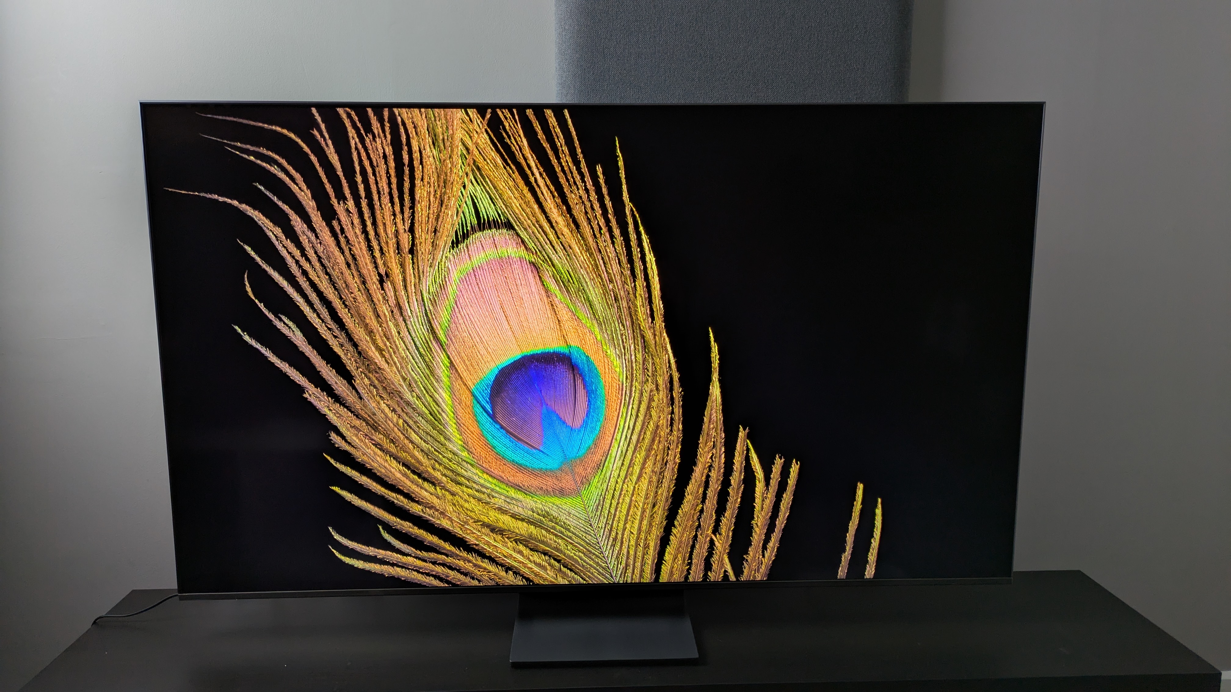 Samsung QN80F with peacock feather on black background on screen