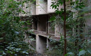 Concrete building overgrown by forest