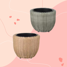 Aldi rattan planter on pink background.