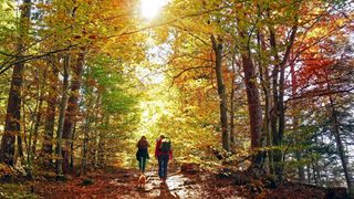 Two people hiking in the autumn