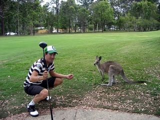 Noosa golf day, close to nature.
