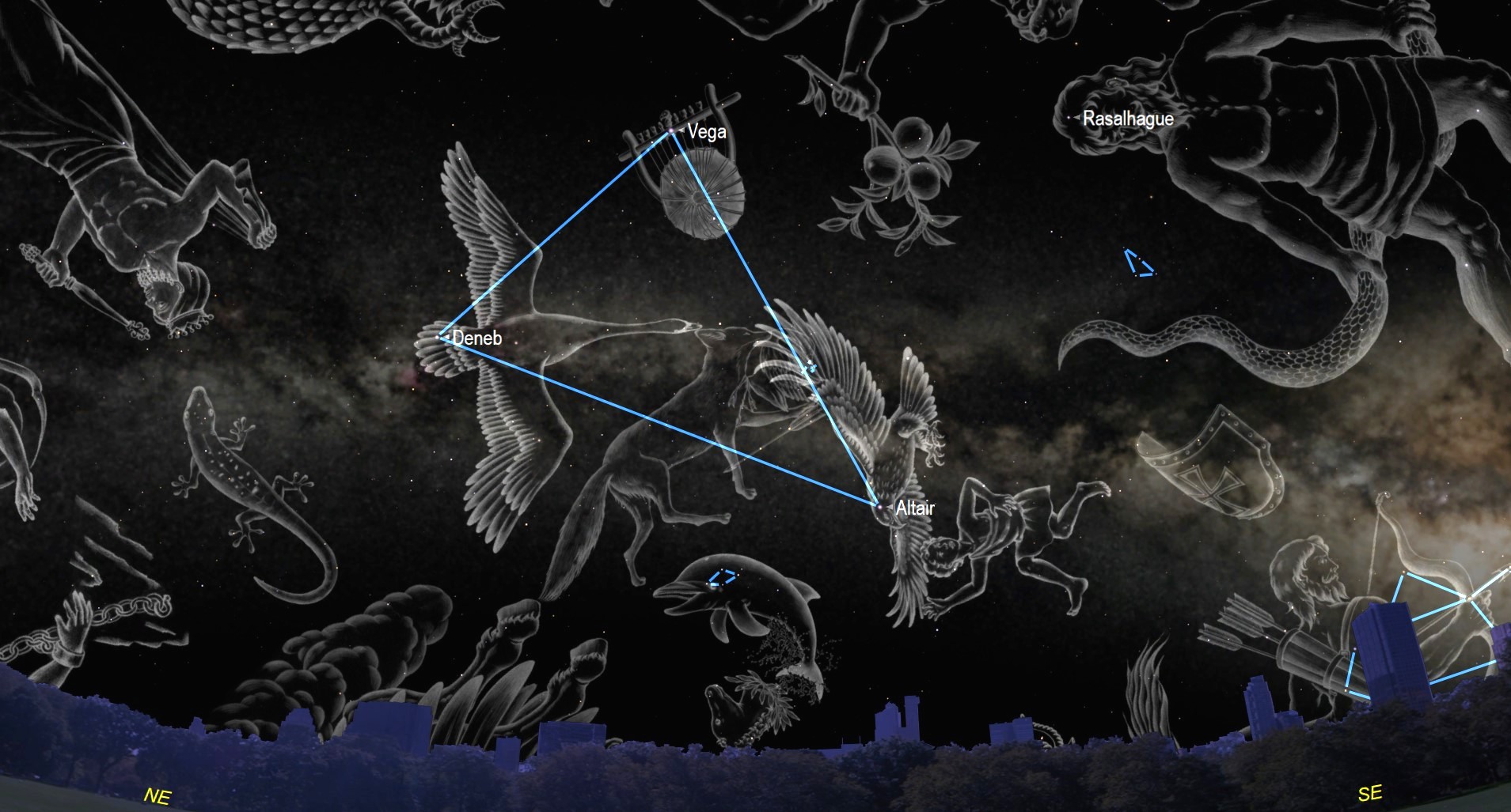 Graphic from Starry Night showing the Summer Triangle and associated constellations.