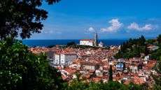 PIRAN, SOUTHWEST SLOVENIA - view framed by trees, featuring historic buildings and St. George's Parish Church in the distance