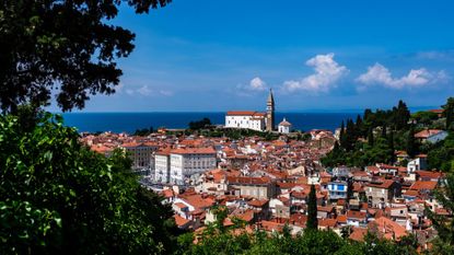 PIRAN, SOUTHWEST SLOVENIA - view framed by trees, featuring historic buildings and St. George's Parish Church in the distance