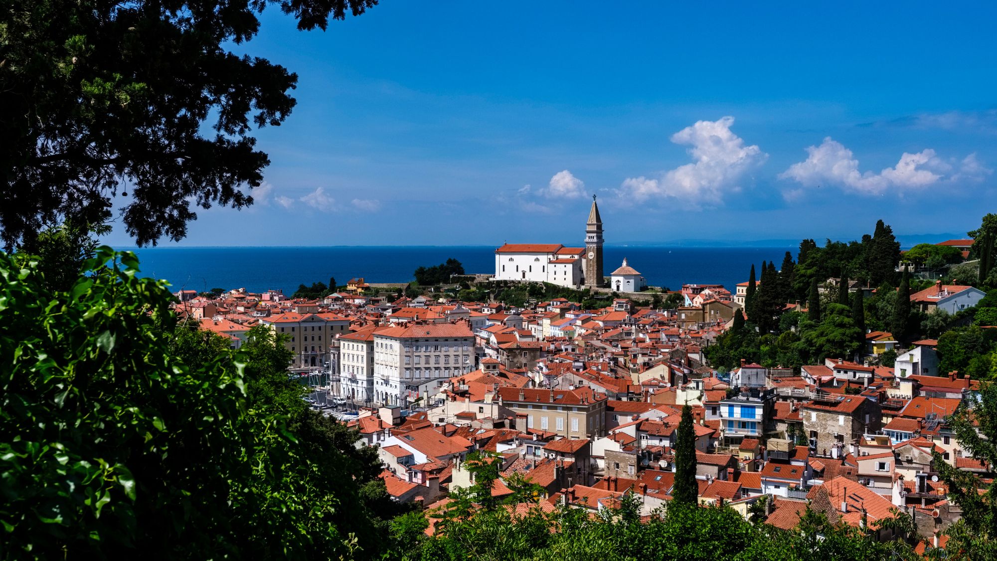 PIRAN, SOUTHWEST SLOVENIA - view framed by trees, featuring historic buildings and St. George's Parish Church in the distance