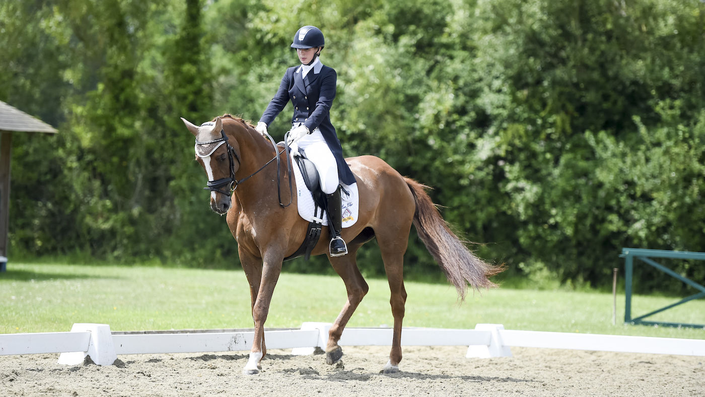 Chestnut horse performing rein-back in competition