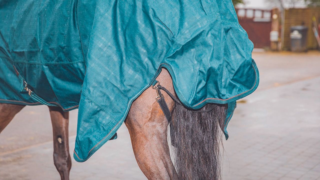 Felix B&uuml;hler Timeless Elegance high-neck turnout rug review