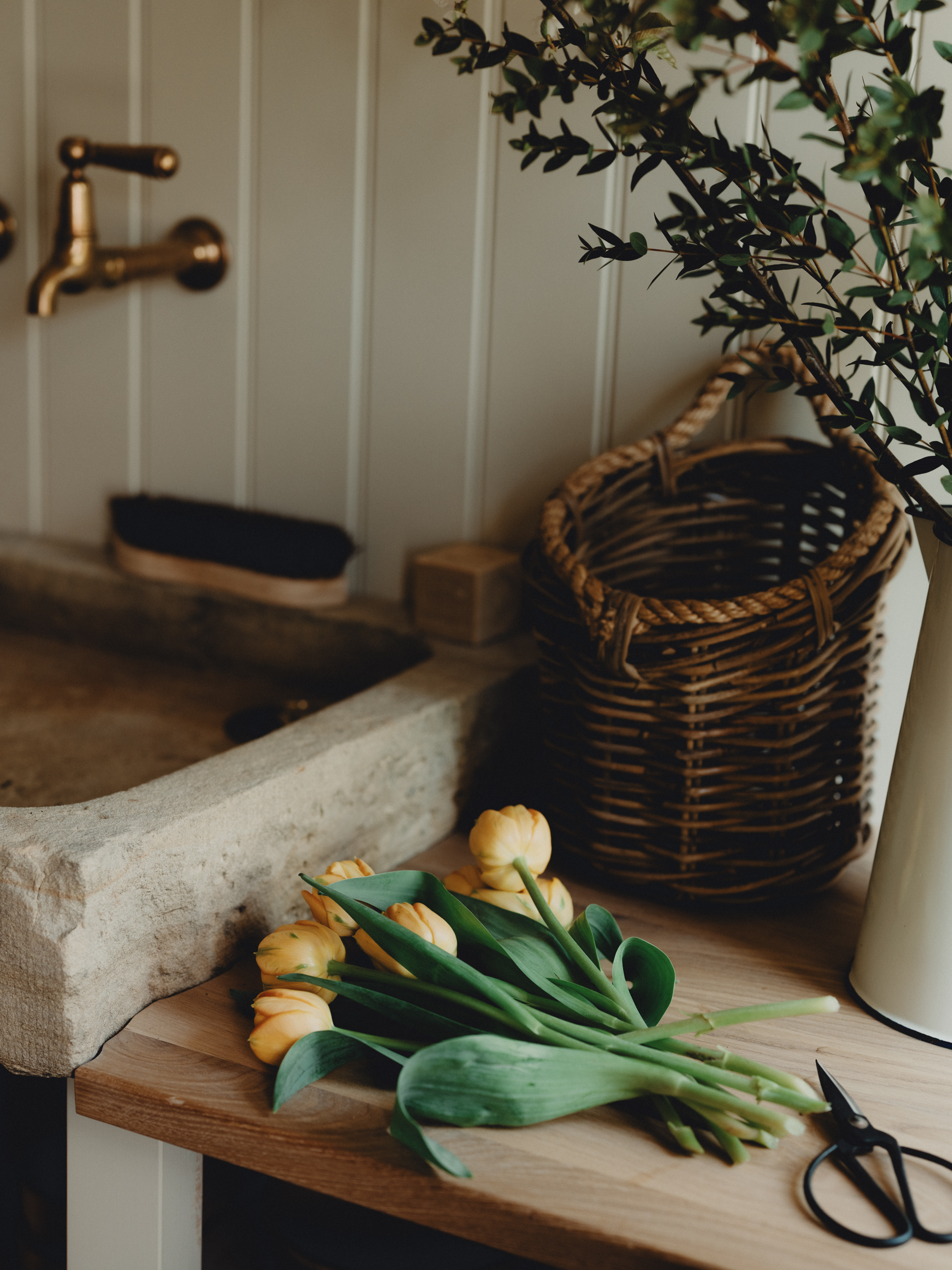 Berkeley Hawkes project 