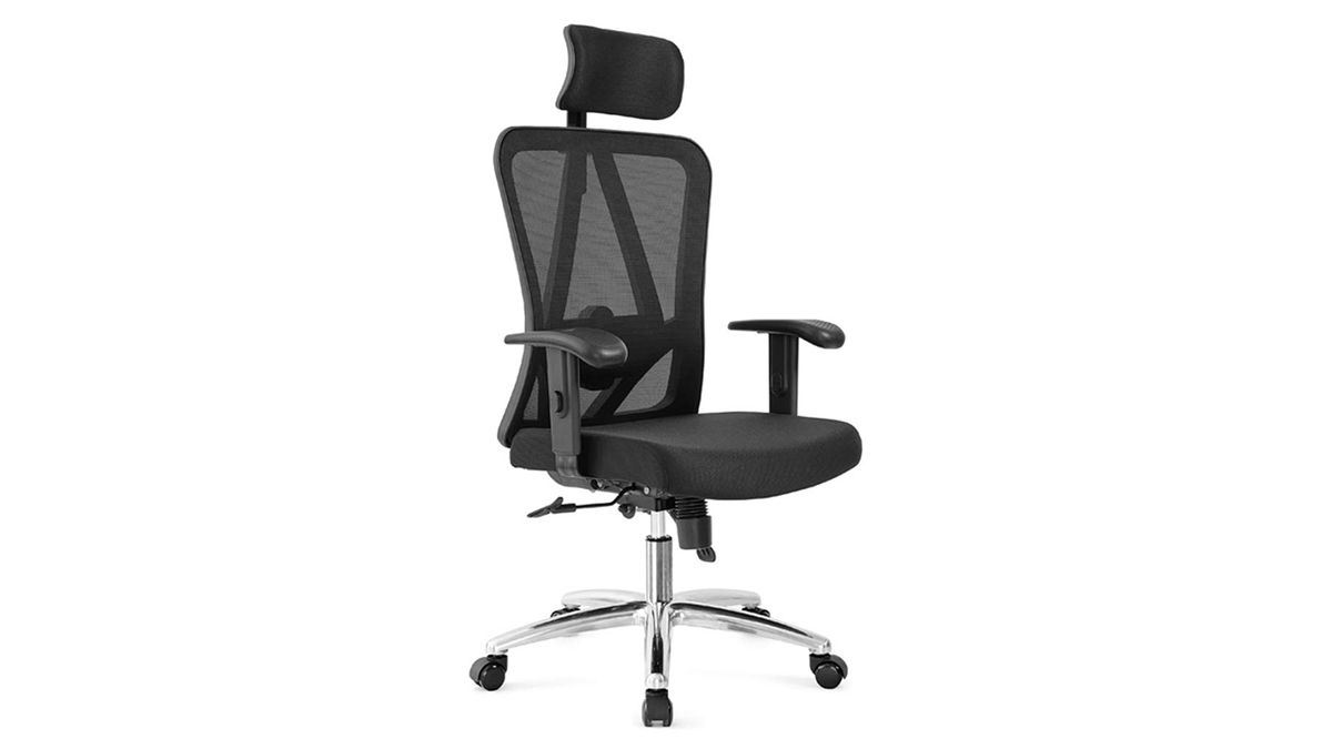 Ticova Ergonomic Office Chair review Top Ten Reviews