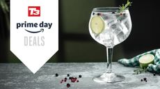 Amazon Prime Day gin deals