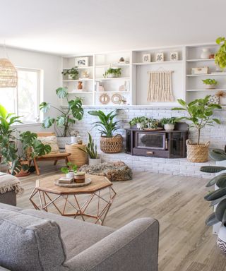 House plants in living room with iron fireplace hearth, wall hangings and natural wooden accents including wicker plant baskets