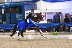 2024 Winter Dressage Championships