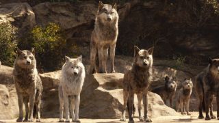 Giancarlo Esposito as Akelah (middle) in The Jungle Book.