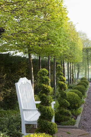 planting bare root trees