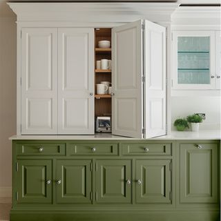 Two tone kitchen cabinet ideas with green and cream cabinet