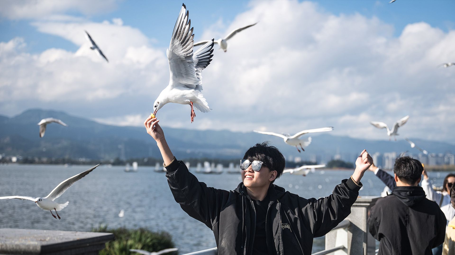 
                                Tourists feed black-headed gulls at the Haigeng Dam in Kunming, China
                            
