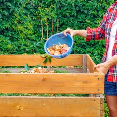 Gardener adds kitchen scraps to DIY wood composting bin