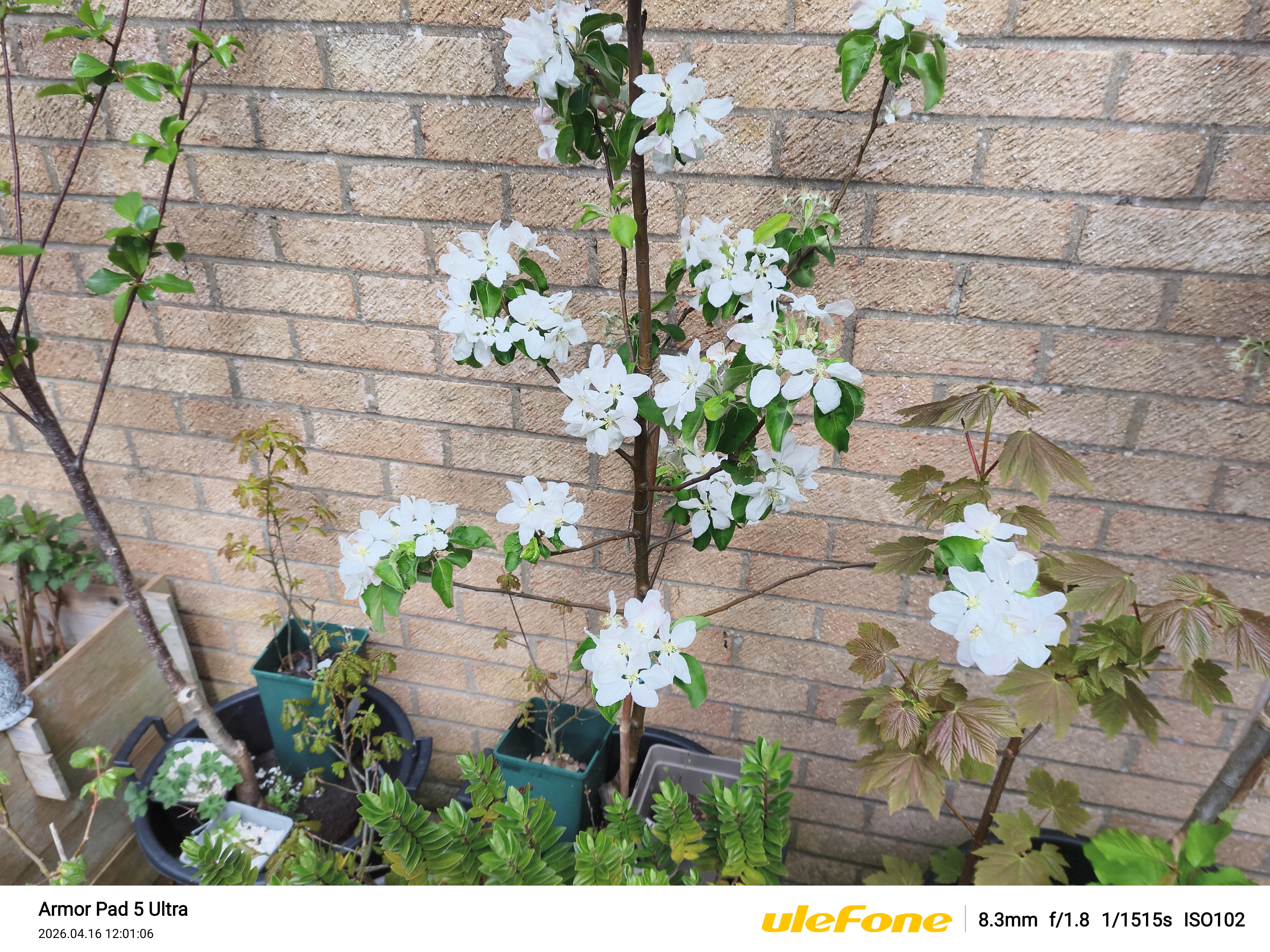 Ulefone Armor Pad 5 Ultra Photo Examples