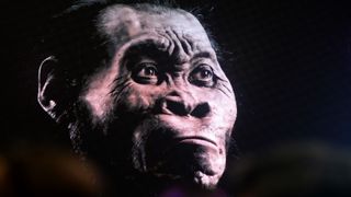 We see a digital image of Homo naledi's face, which is ape-like but mostly hairless, against a black background.