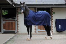 2.-Competition-Cooler-Navy-4529-e1442230102167.jpeg