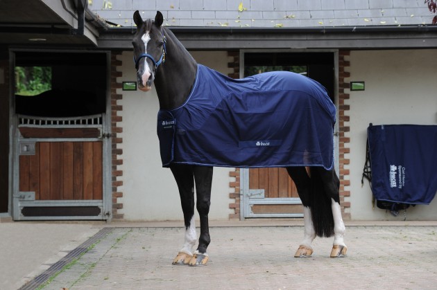 2.-Competition-Cooler-Navy-4529-e1442230102167.jpeg