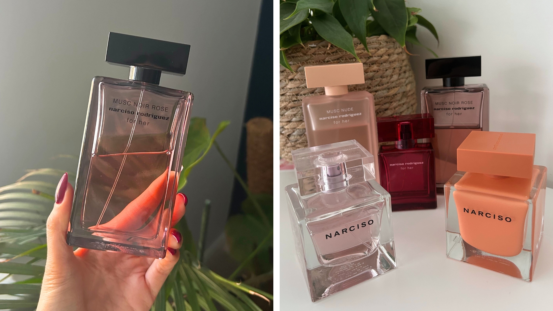 On the left, hand holding Narciso Rodriguez For Her Musc Noir Rose EDP in front of green leafy plant, on the right a collection of Narciso Rodriguez perfumes lined up