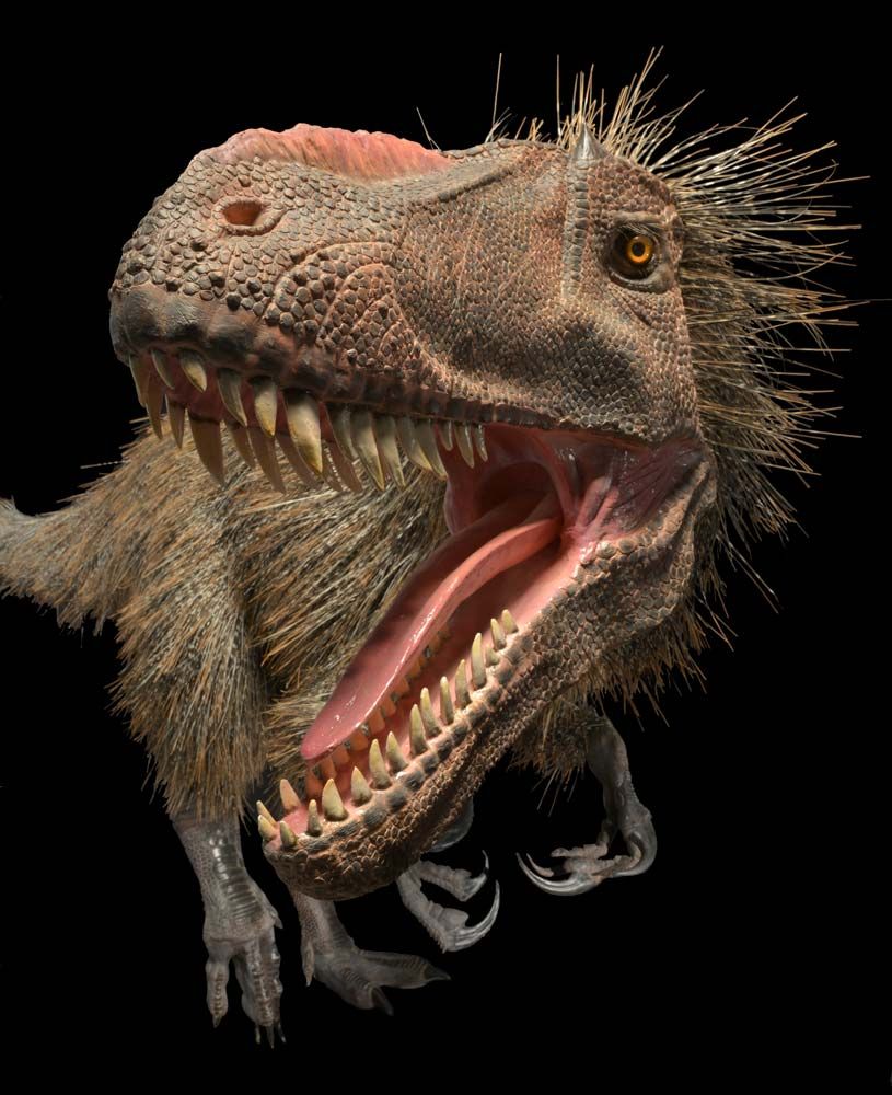 birds evolved from dinosaurs