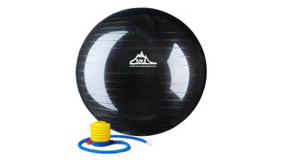 Black Mountain Exercise Ball, one of the best home gym equipment buys