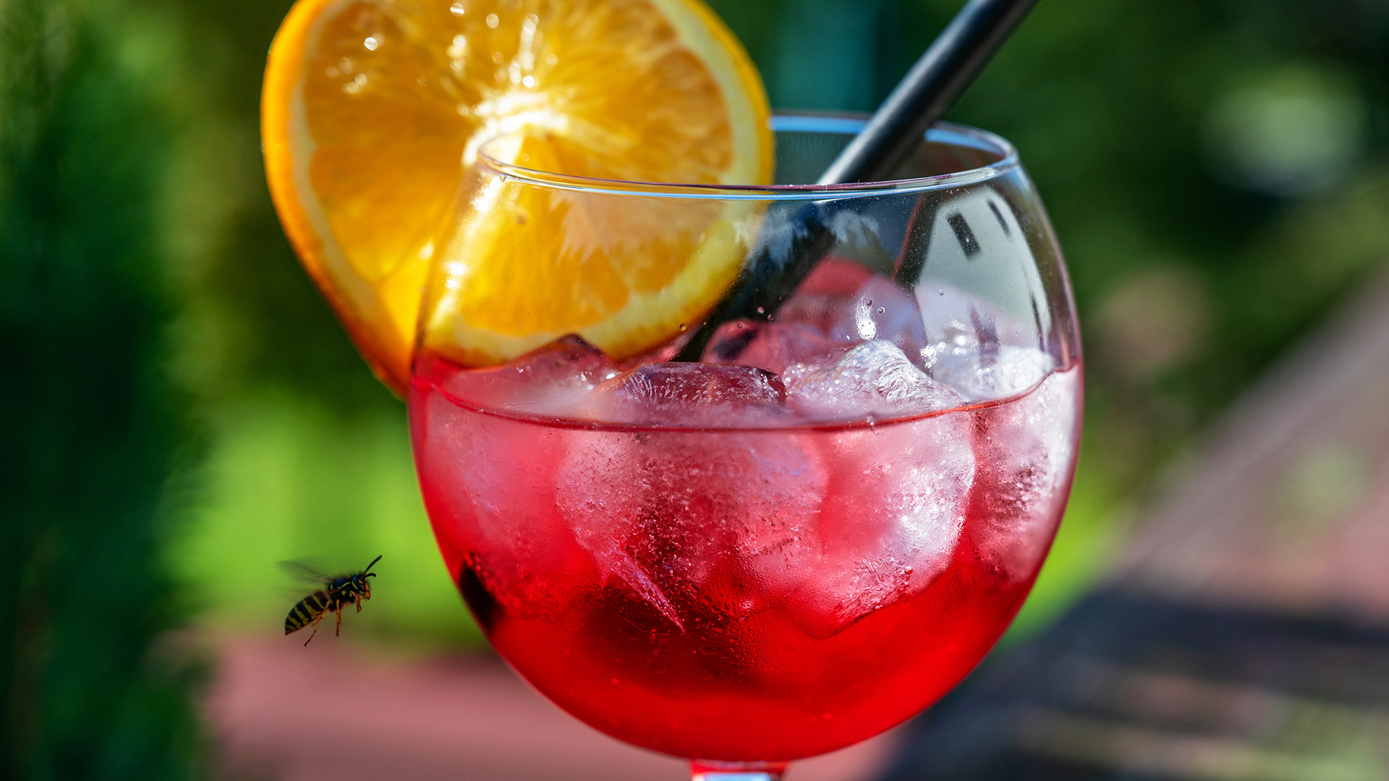 Wasp near cocktail