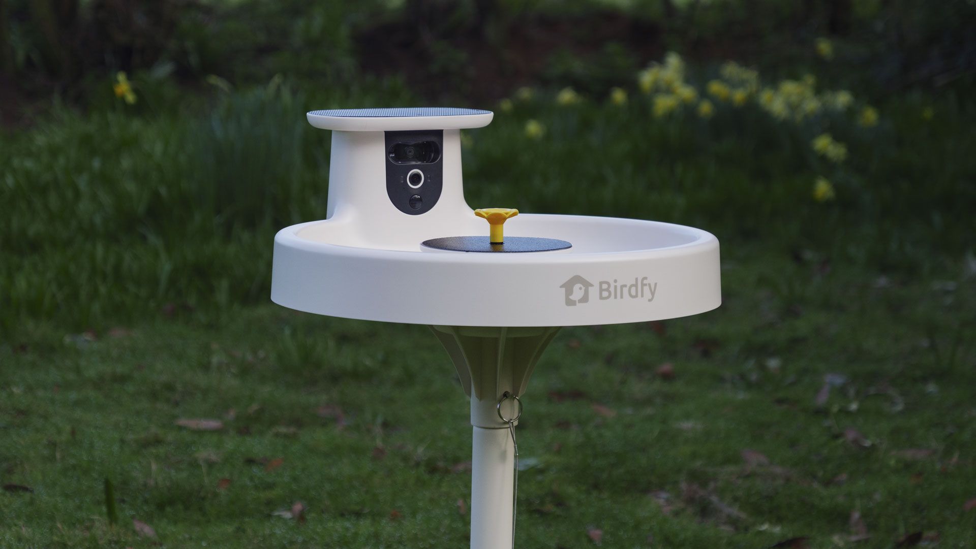 ‘A top gadget for nature lovers’ – my entertaining month with the Birdfy Bird Bath Pro wildlife camera