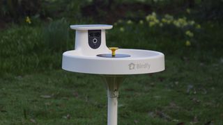 Birdfy Bird Bath Pro camera in a garden