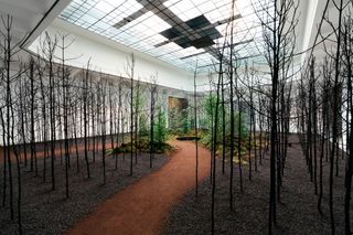 Art display of tree installations in a museum