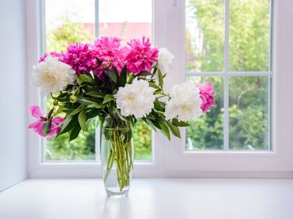 Secrets for Keeping Cut Flowers Fresh, Living Well