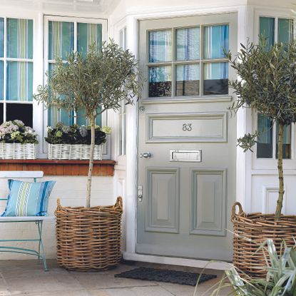 Sage green front door on a white house with plants either side.