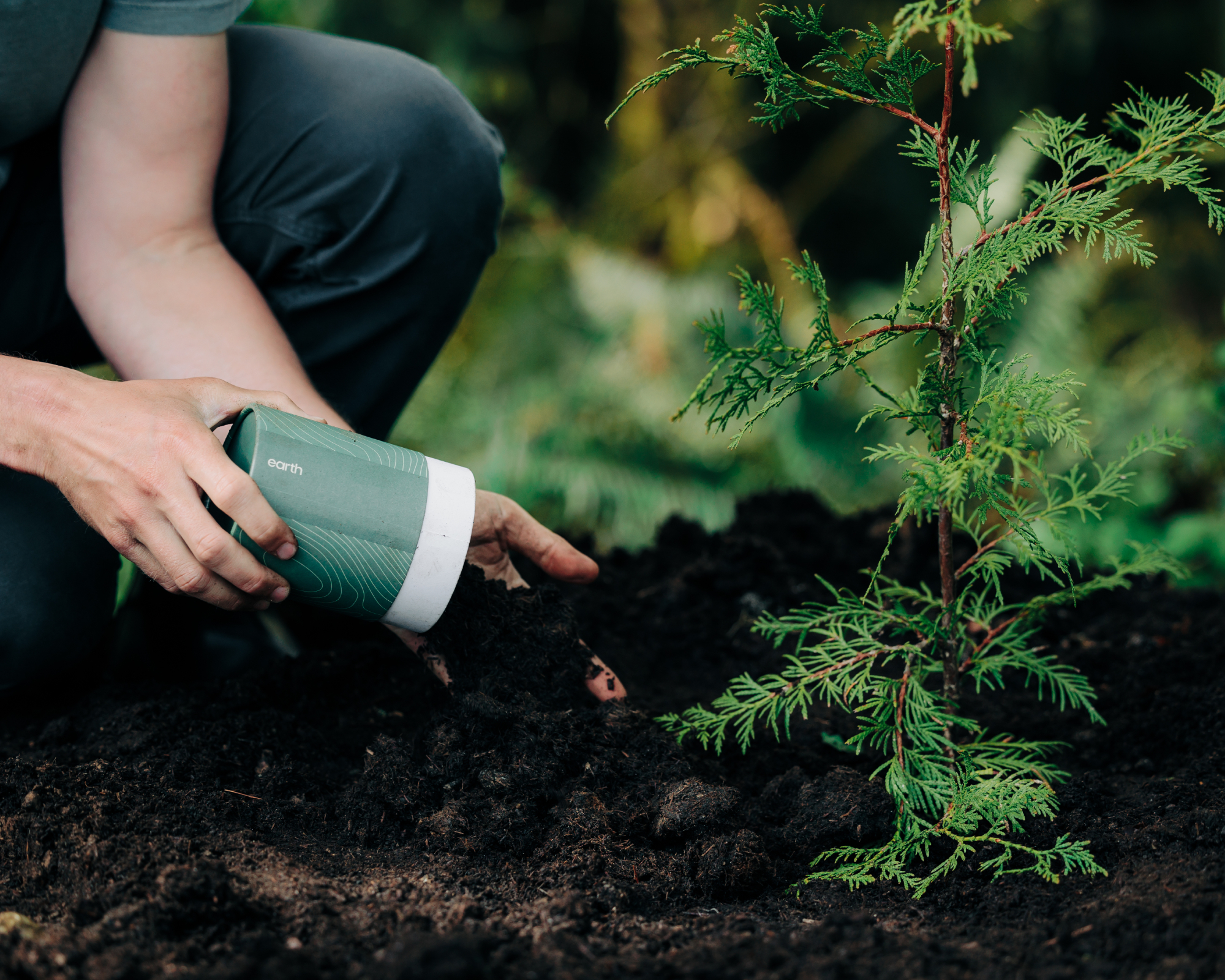 compost created from human composting or natural organic reduction by Earth Funeral being used to plant a memorial tree