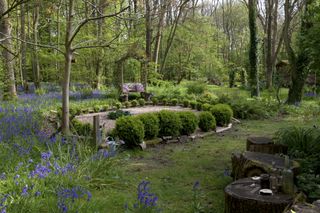 A pebble garden in the bluebell woodland