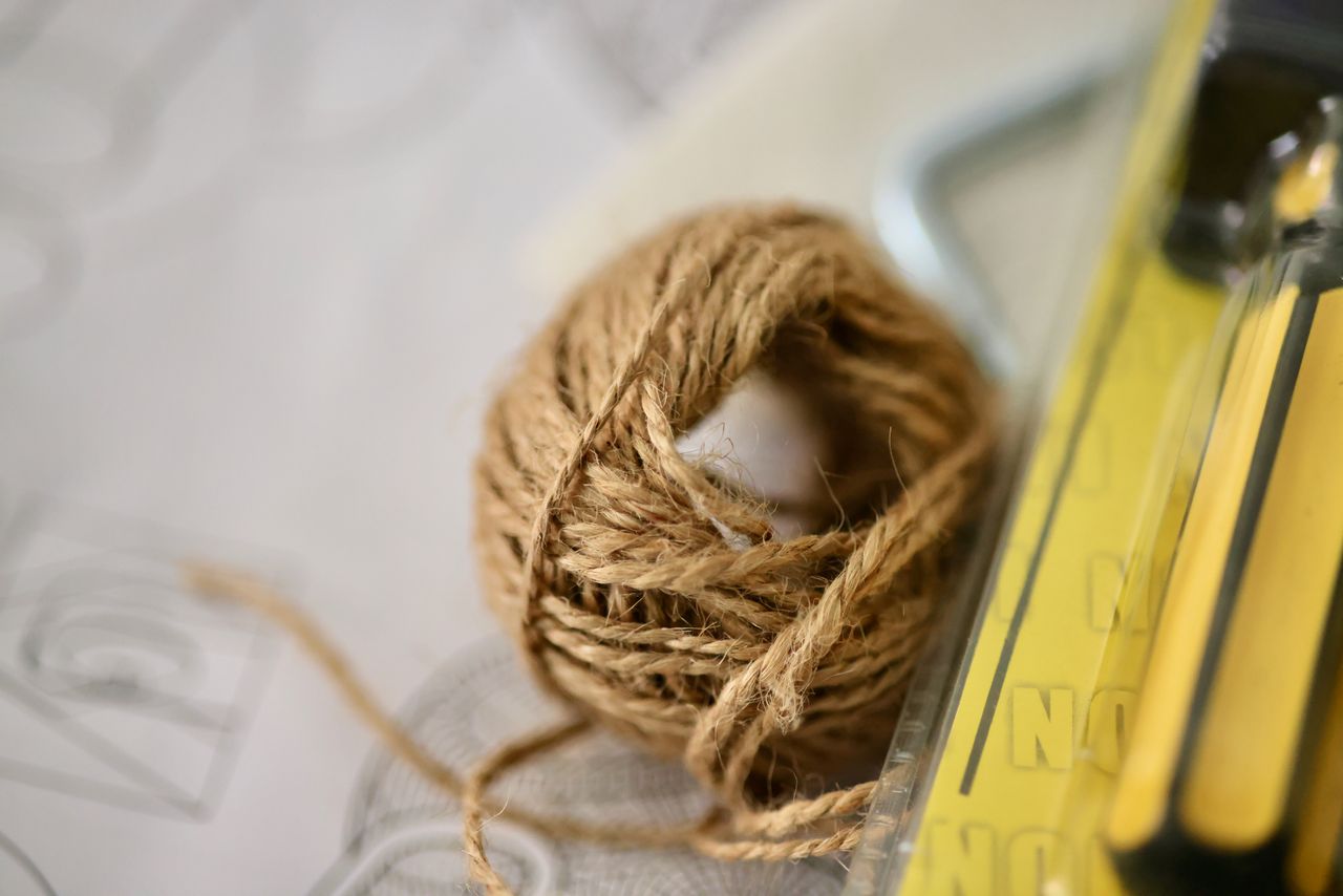 sample shots from Canon RF 85mm f/2 Macro I S STM