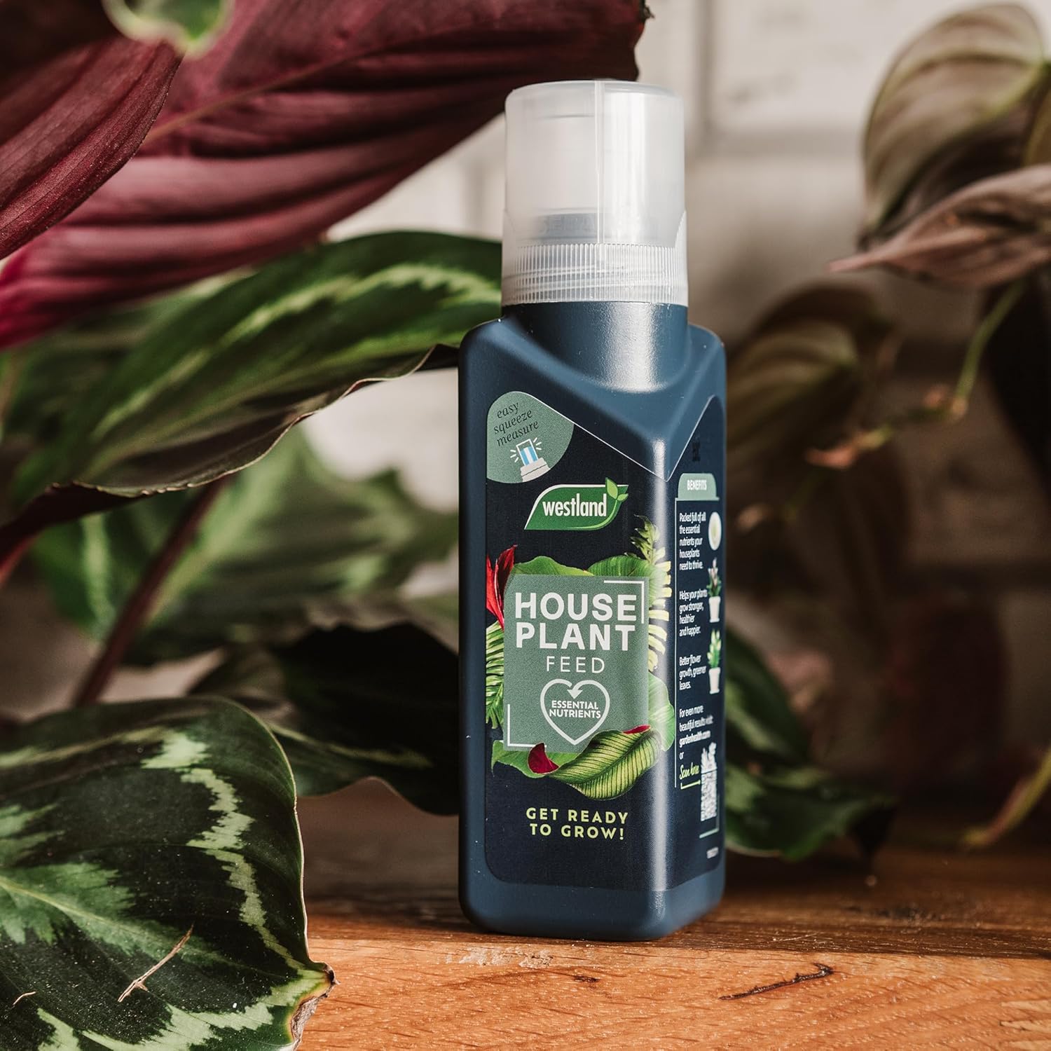 Westland Houseplant Feed Concentrate 200ml