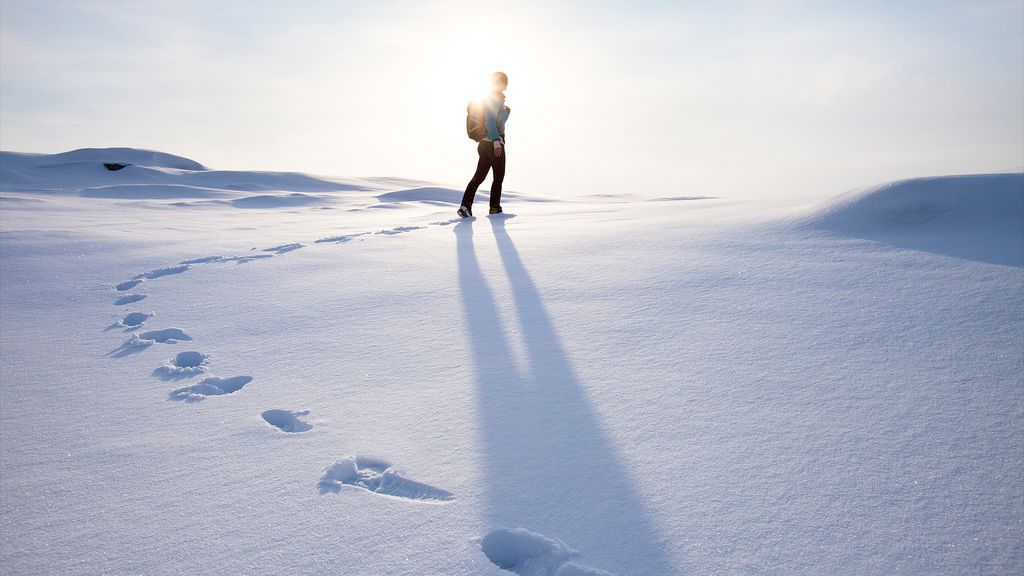 Why does snow squeak when you walk on it? Live Science