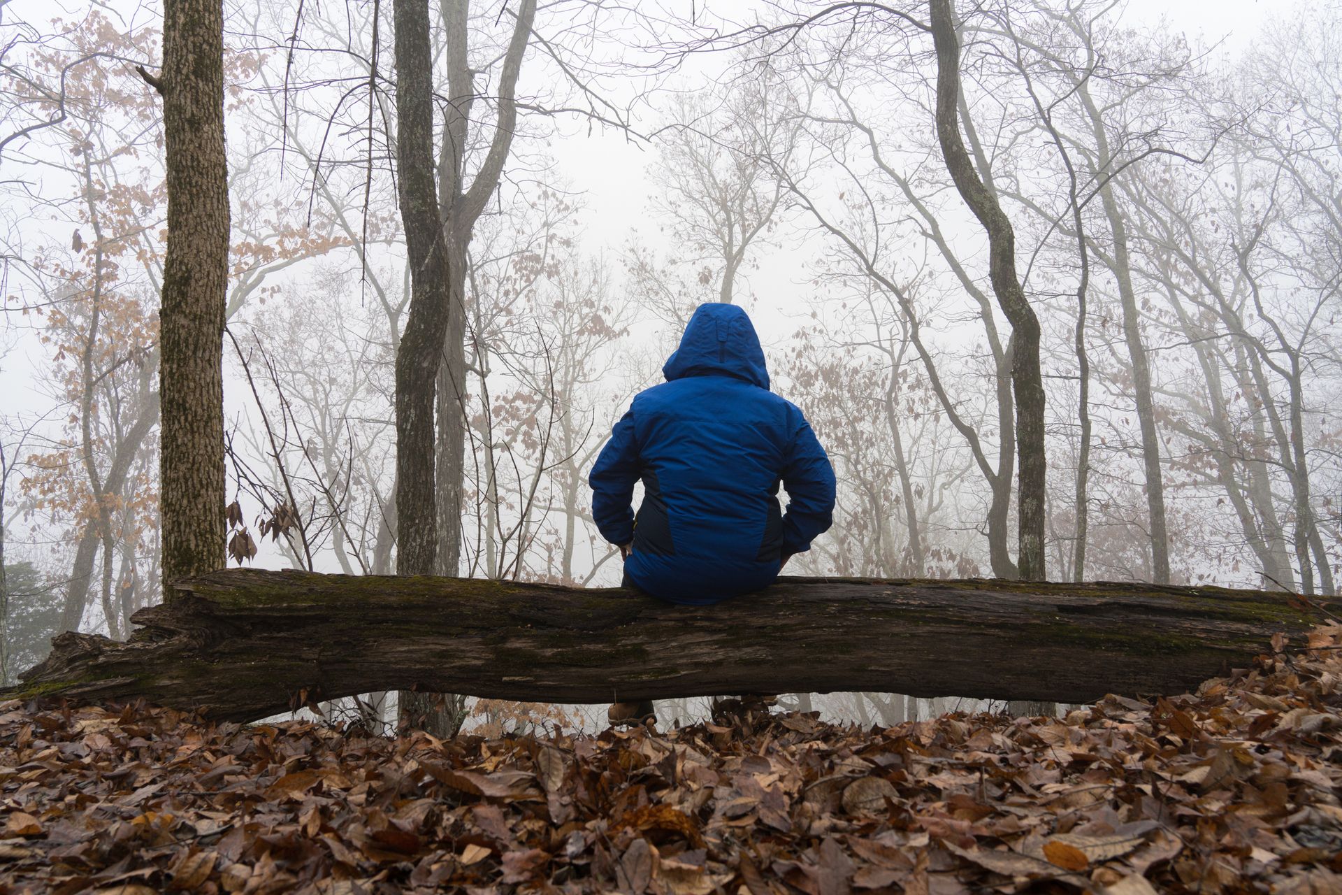 A lone retiree faces away from the camera, sitting on a log in a blue coat with the hood up. It is foggy.