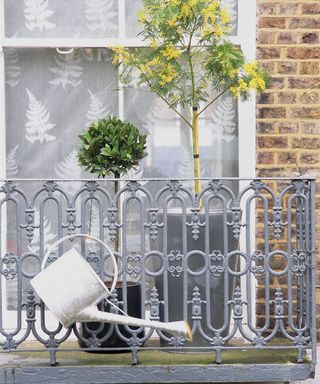A watering can and trees in pots illustrating balcony garden ideas behind a black metal balustrade.
