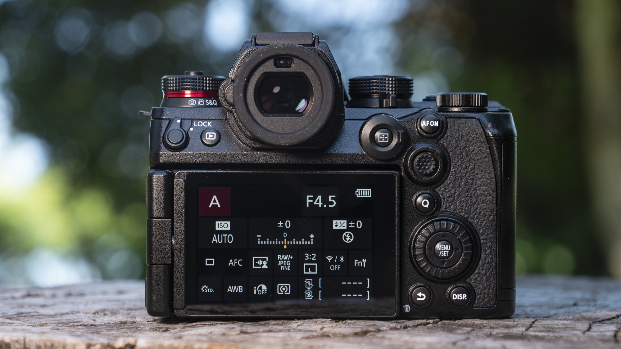 Rear of Panasonic Lumix S1 II mirrorless camera outdoors on a wooden surface